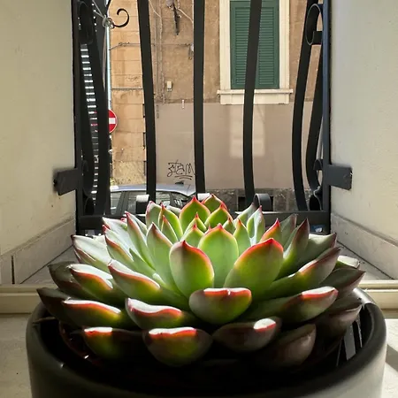 Дом отдыха Casa Terme Della Rotonda Катания